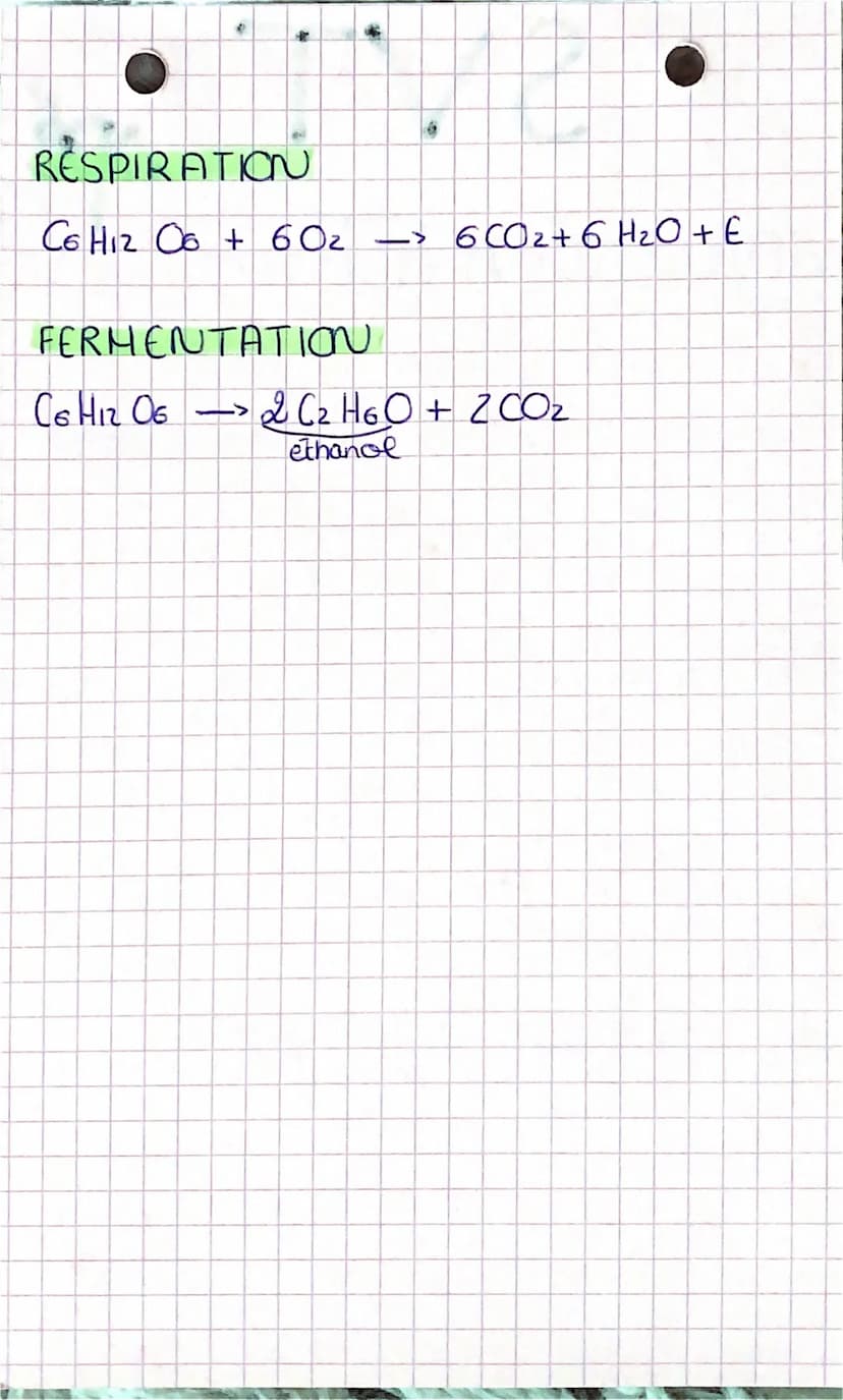 SVT, spé
origine de l'ATP dans la
contraction musculaire
Adenosine triphosphaste (ATP): fournit E
pour la contract aux
Sobres muxu
= interme