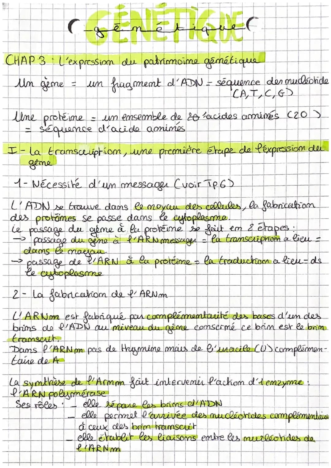 السلفيقي)
CHAP 3 L'expression du patrimoine génétique
Un ģime
un fragment d'ADN - séquence der nucleotide
CA, T, C, GD
Une protéine
- un ens