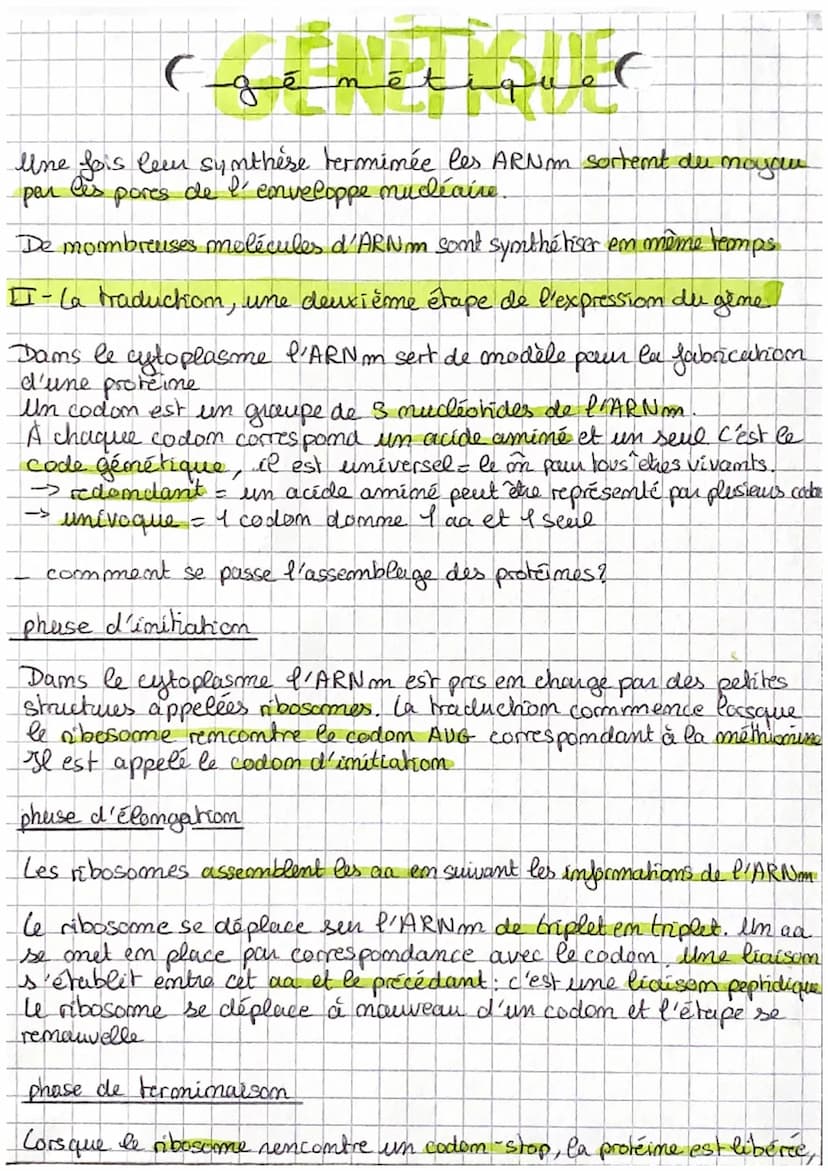 السلفيقي)
CHAP 3 L'expression du patrimoine génétique
Un ģime
un fragment d'ADN - séquence der nucleotide
CA, T, C, GD
Une protéine
- un ens