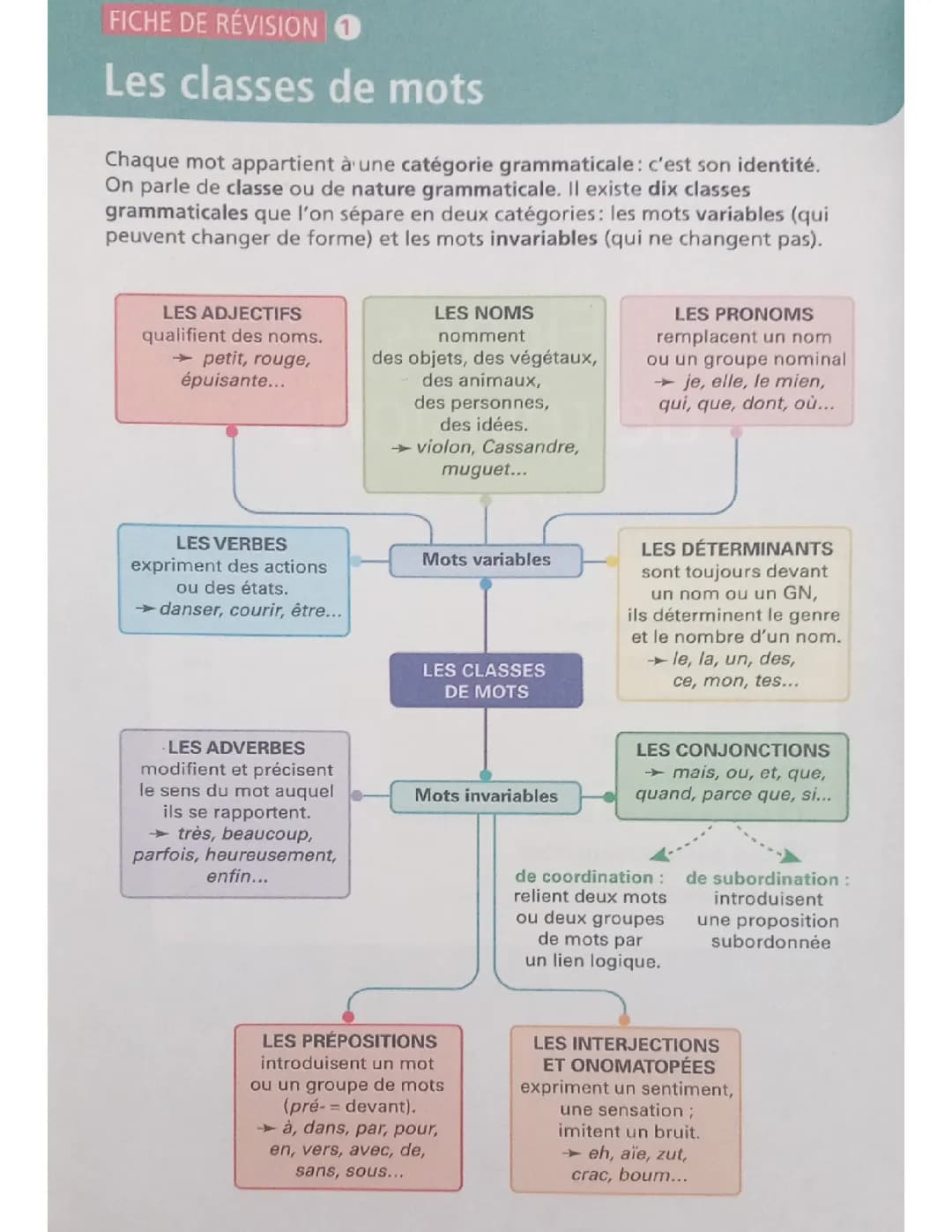 Les classes de mots Brevet