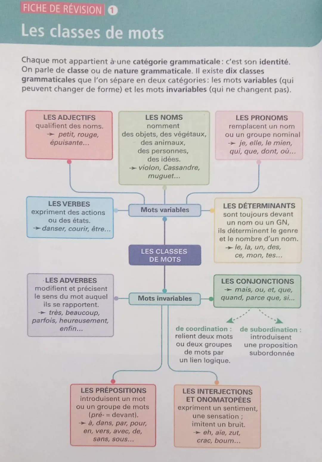 FICHE DE RÉVISION 1
Les classes de mots
Chaque mot appartient à une catégorie grammaticale: c'est son identité.
On parle de classe ou de nat