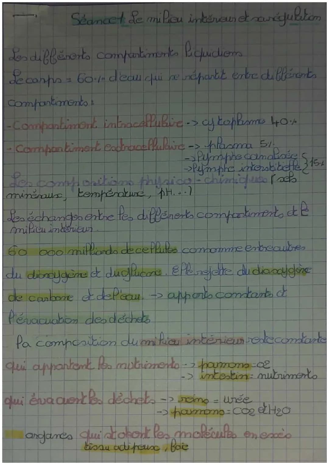 Comprendre le Milieu Intérieur et le Rôle des Reins : Cours PDF et Schémas