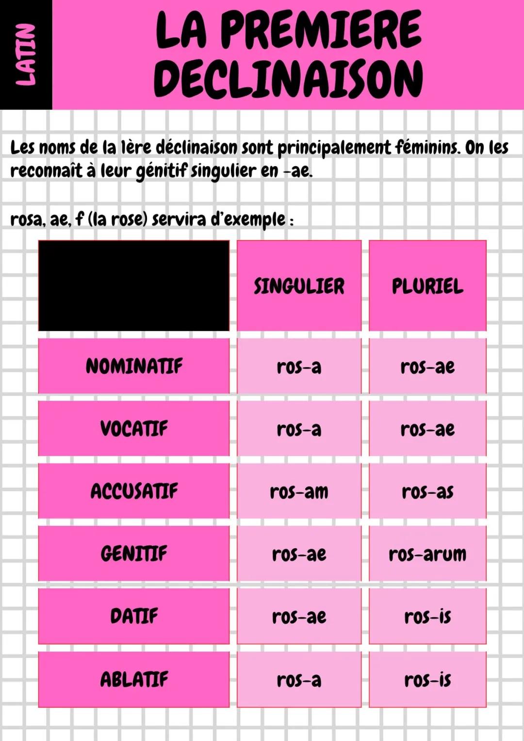 Introduction à la Première Déclinaison Latine