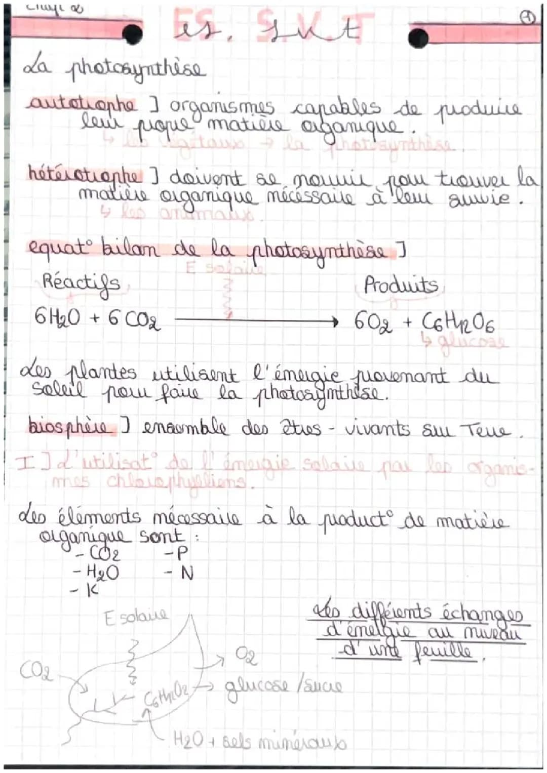 Une conversion biologique de l’énergie solaire: la photosynthèse 