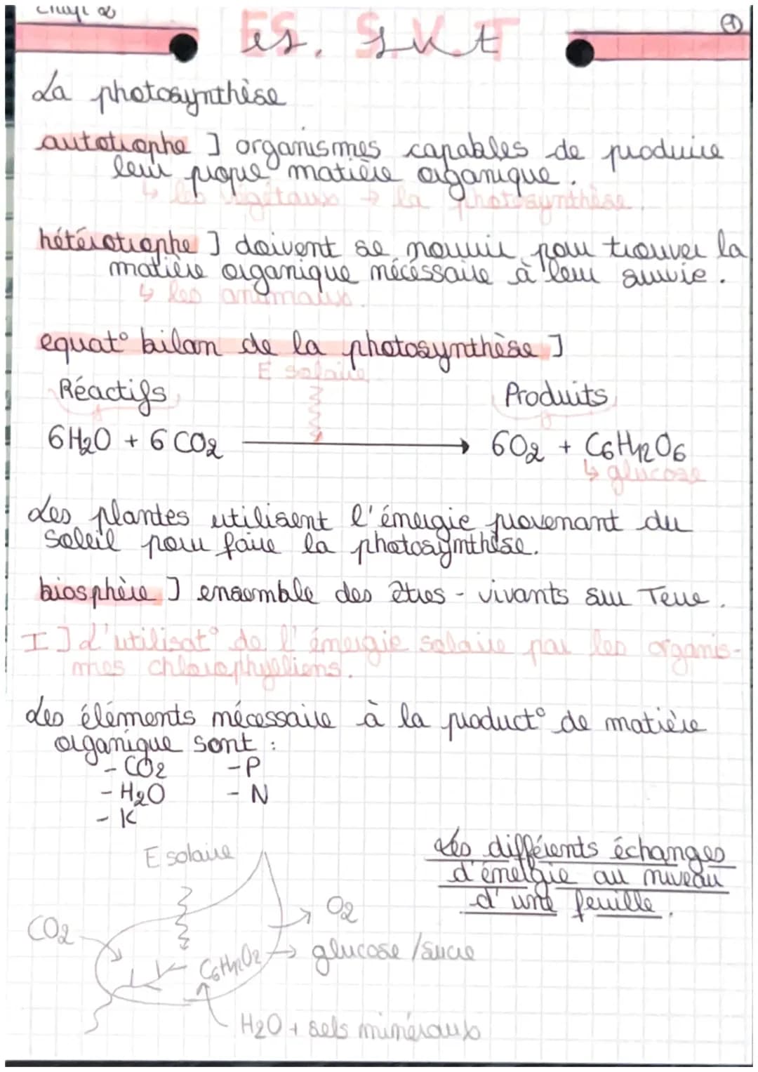 старов
La photosynthèse
autotrophe I organismes capables de produire
prope aganique.
gitaux a la
shaymihise
matilie
hétérotrophe I doivent s