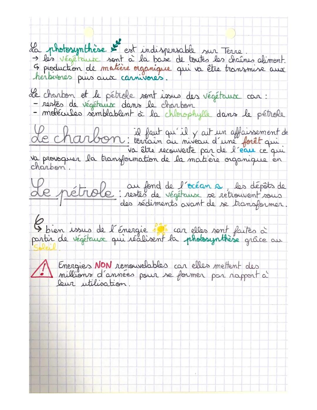 # La Photosynthèse

C'est la fabrication d'énergie grâce à la WMIERE par les
VÉGÉTAUX
Elle se déroule dans les feuilles, dans les chloroplas
