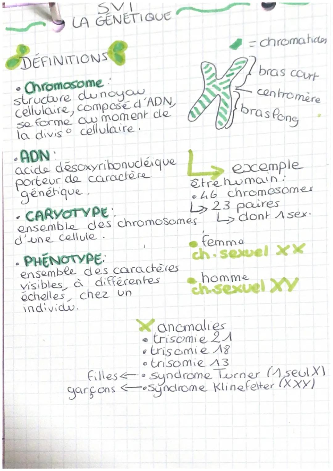 SVI
LA GÉNÉTIQUE

DÉFINITIONS

- Chromosome:
structure dunoyou
Cellulaire, composé d'ADN,
se forme cu moment de
la divis° cellulaire.

- ADN