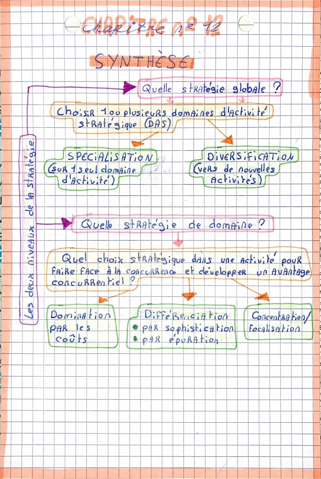 Les Choix Stratégiques PDF et Exemples pour le Management STMG // Stratégie Globale et de Domaine