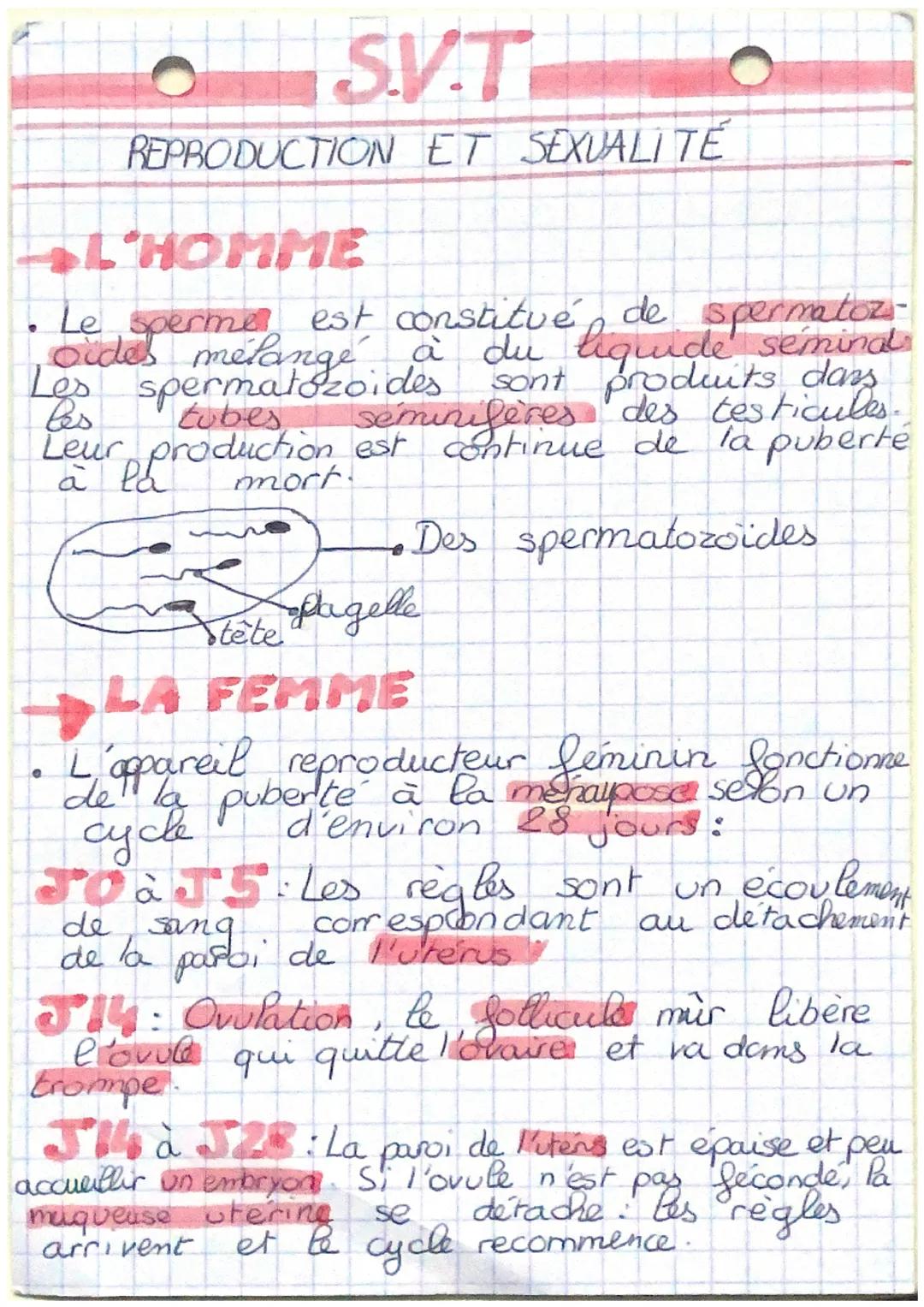 # S.V.T

# REPRODUCTION ET SEXUALITÉ

### L'HOMME

*   Le sperme est constitué de spermatoz
ide semind
oides mélangé à du liquide.
Les sperm