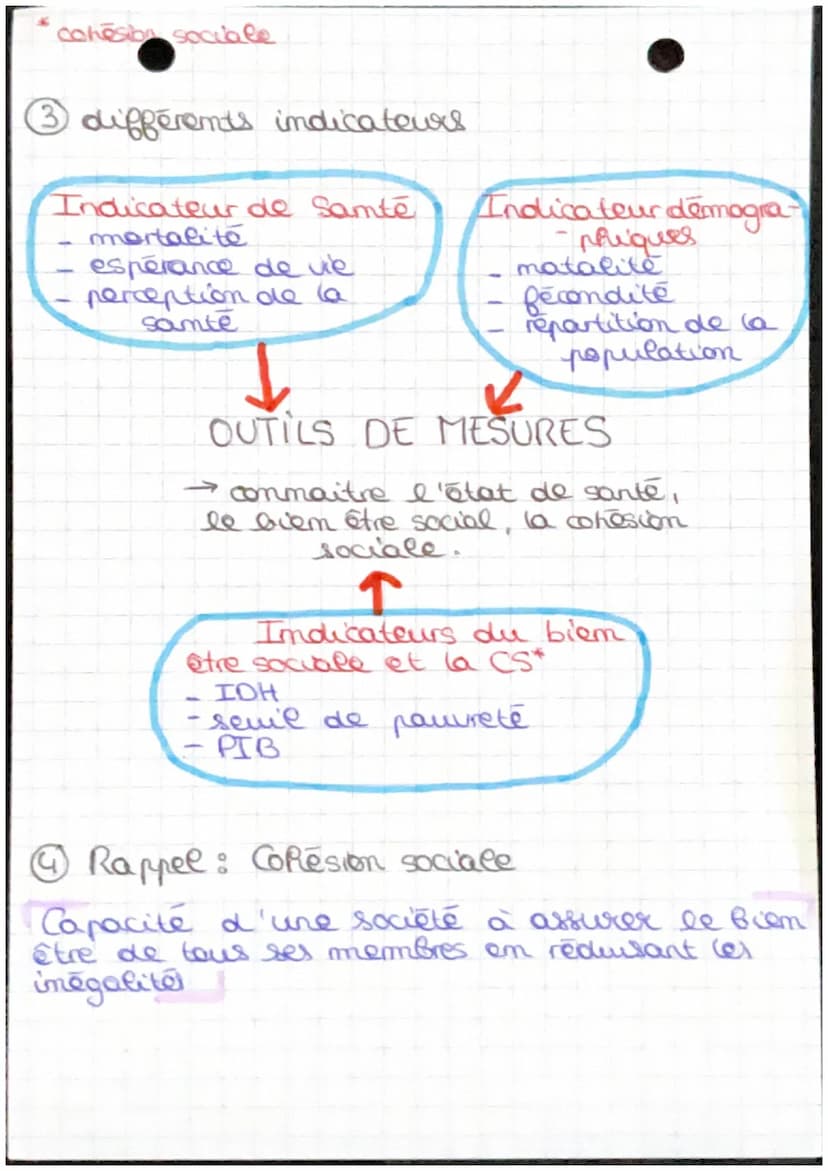 •ST2S
Chapitre 3 : mesurer l'état de santé ou
du social.
INSEE: Institut National de Statistiques.
et des Etudes Economiques.
INED: Institut