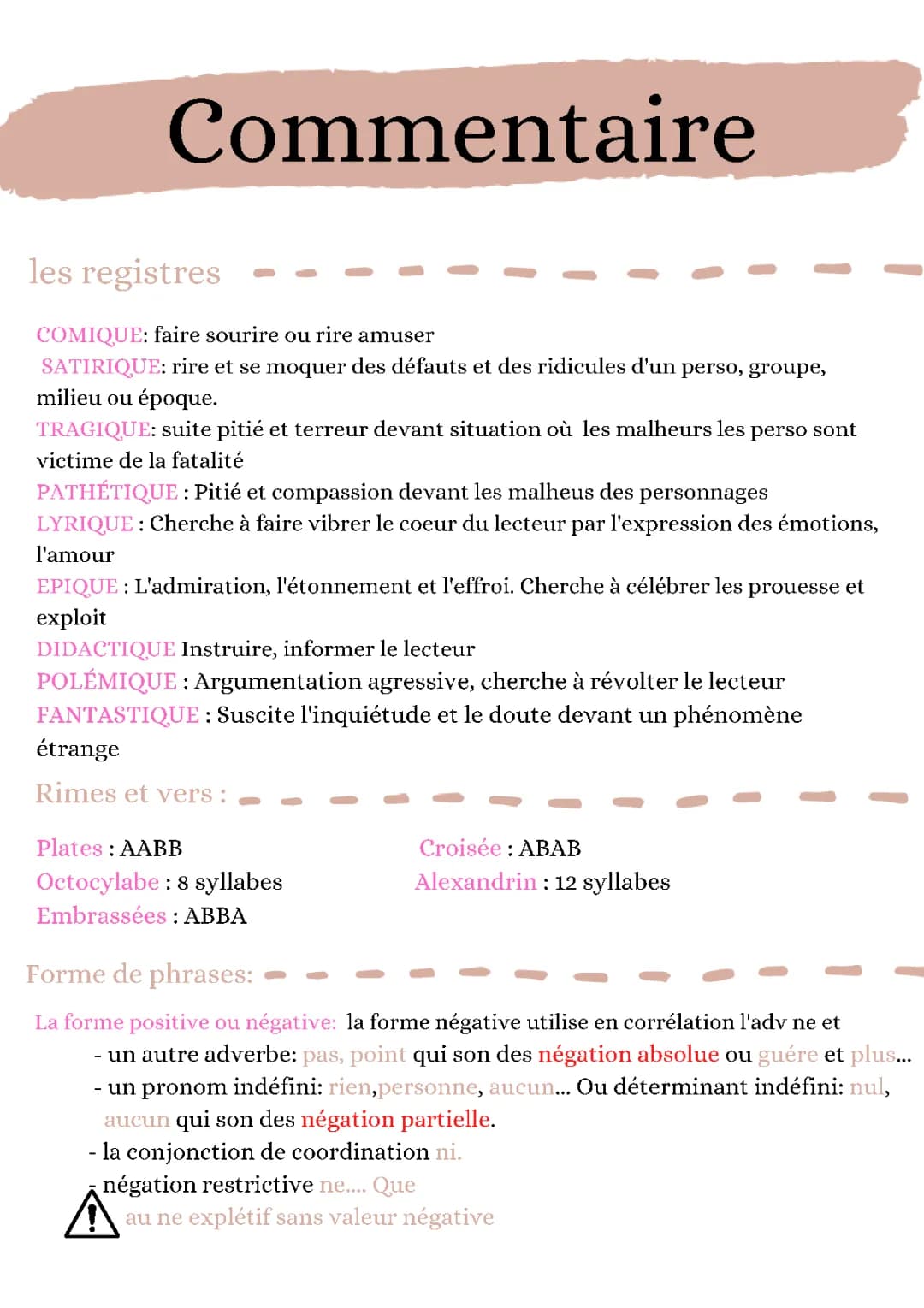 Tout sur les Registres Littéraires et les Formes de Phrases - PDF et Exemples