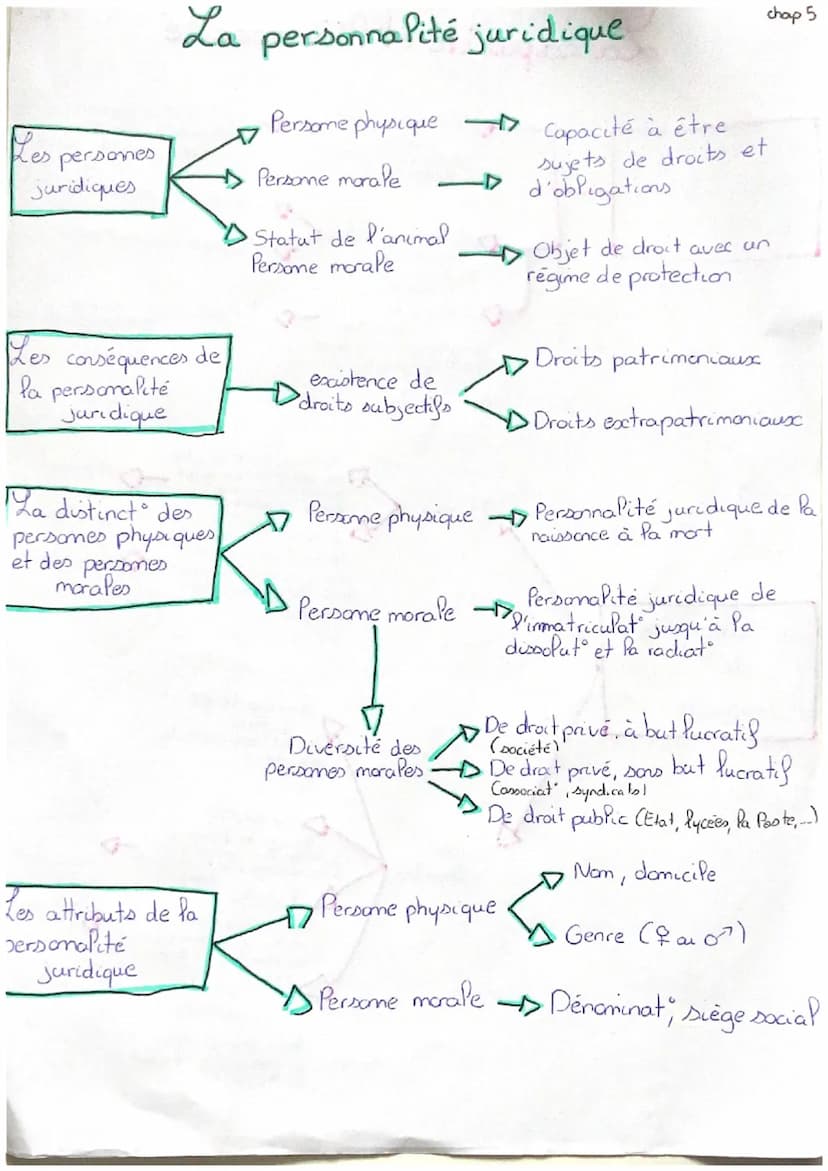 La capacité et l'incapacité
Capacité de
jouissance
Aptitude à être titulaire
de droits
La capacité et
Pincapacité
juridique
Les conséquences