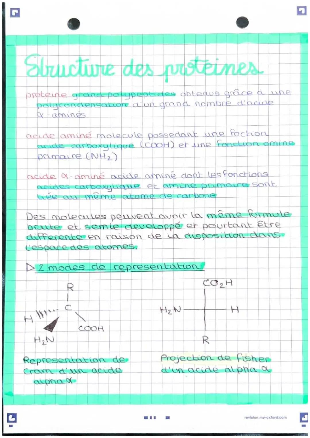 Tout sur la structure tridimensionnelle des protéines et la liaison peptidique