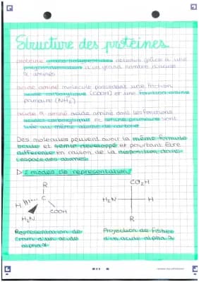 Know structure des protéines  thumbnail