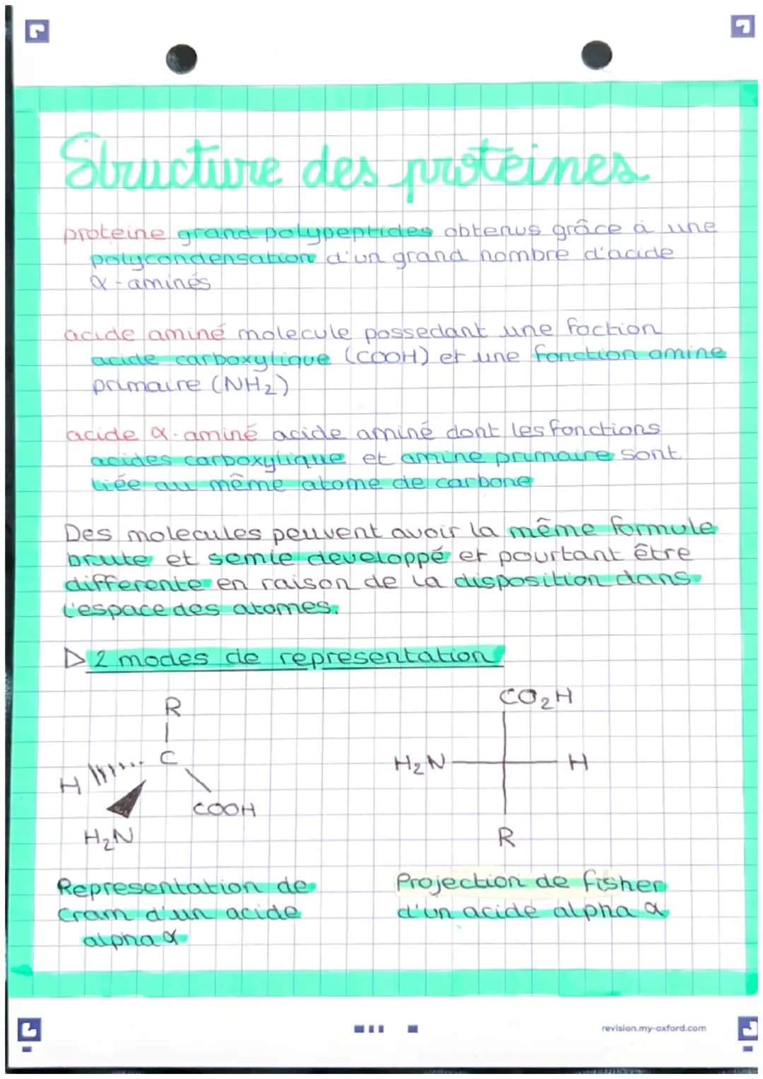 Structure des proteines
proteine grand polypeptides obtenus grâce à une
polycondensation d'un grand nombre d'acide
X-amines
acide amine mole