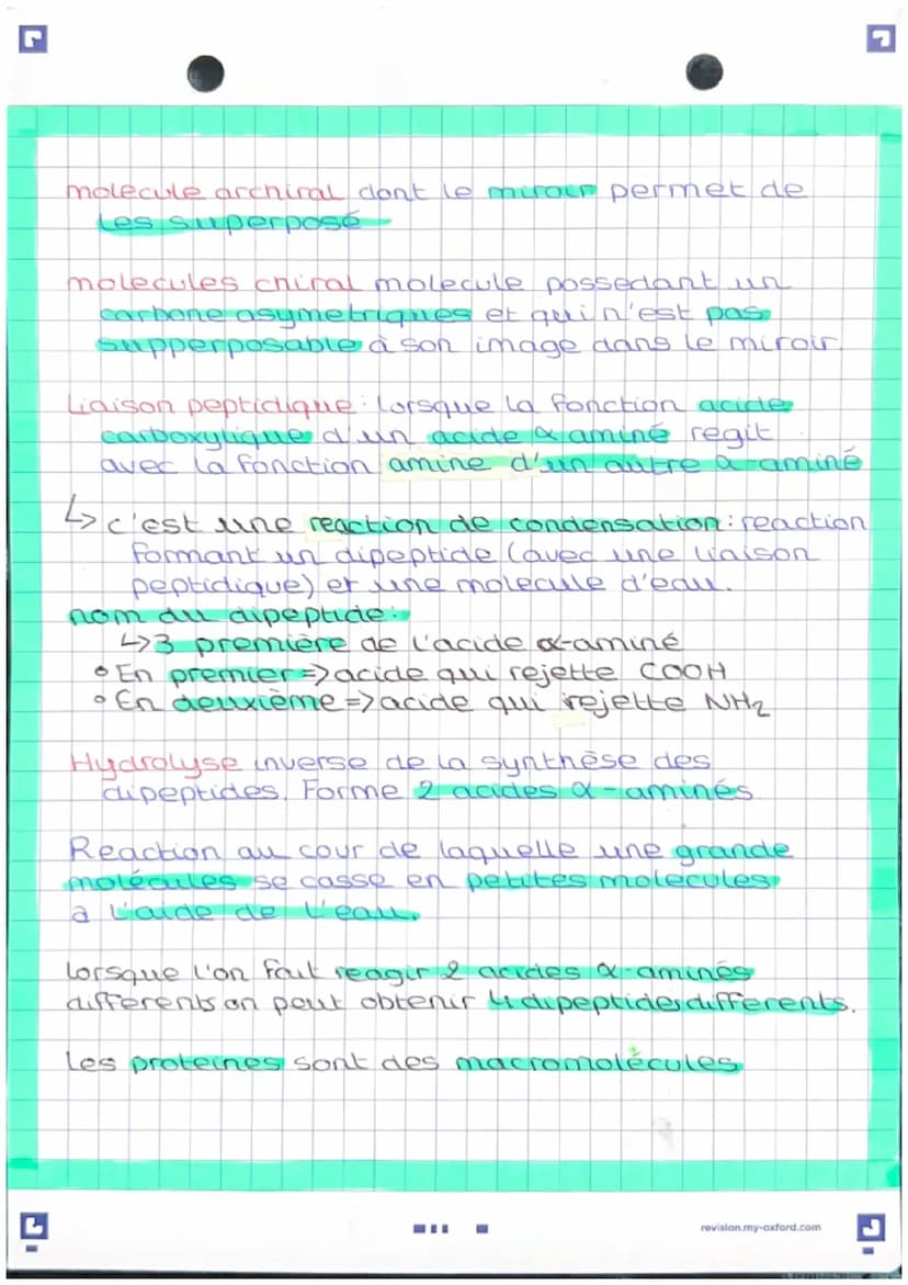 Structure des proteines
proteine grand polypeptides obtenus grâce à une
polycondensation d'un grand nombre d'acide
X-amines
acide amine mole