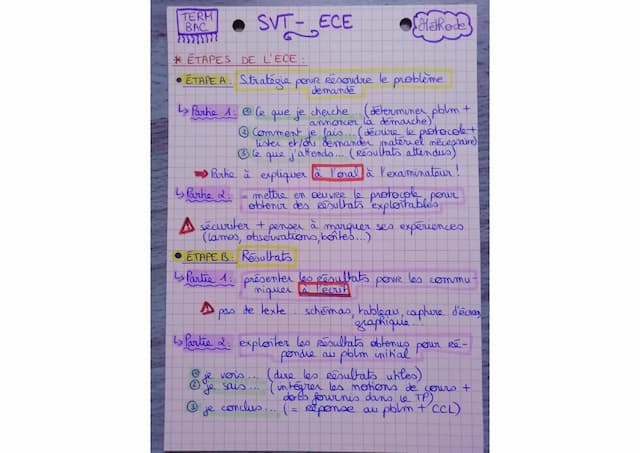 Know SVT fiche méthode ECE thumbnail