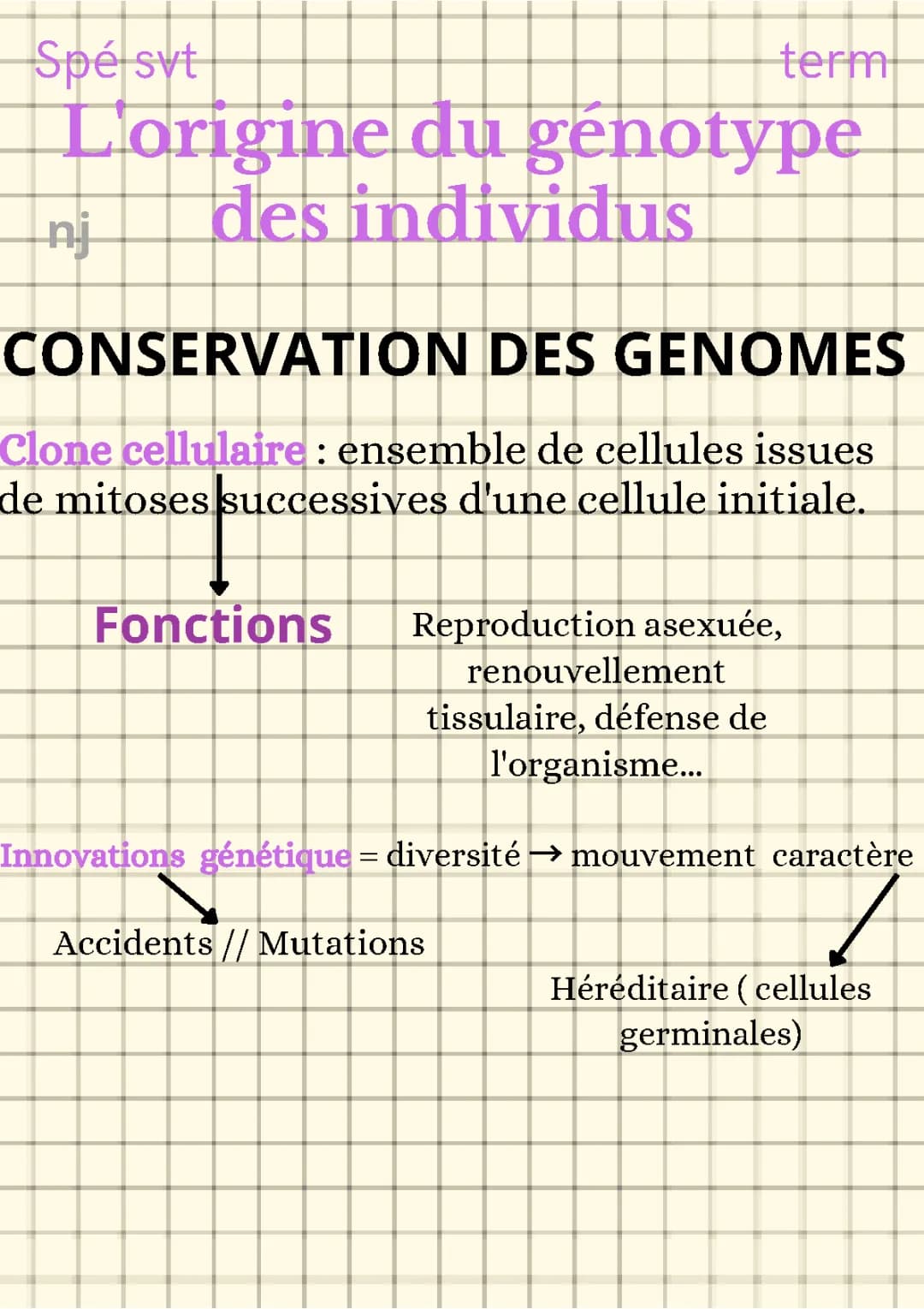 Tout savoir sur la reproduction asexuée et la polyploïdie chez les plantes