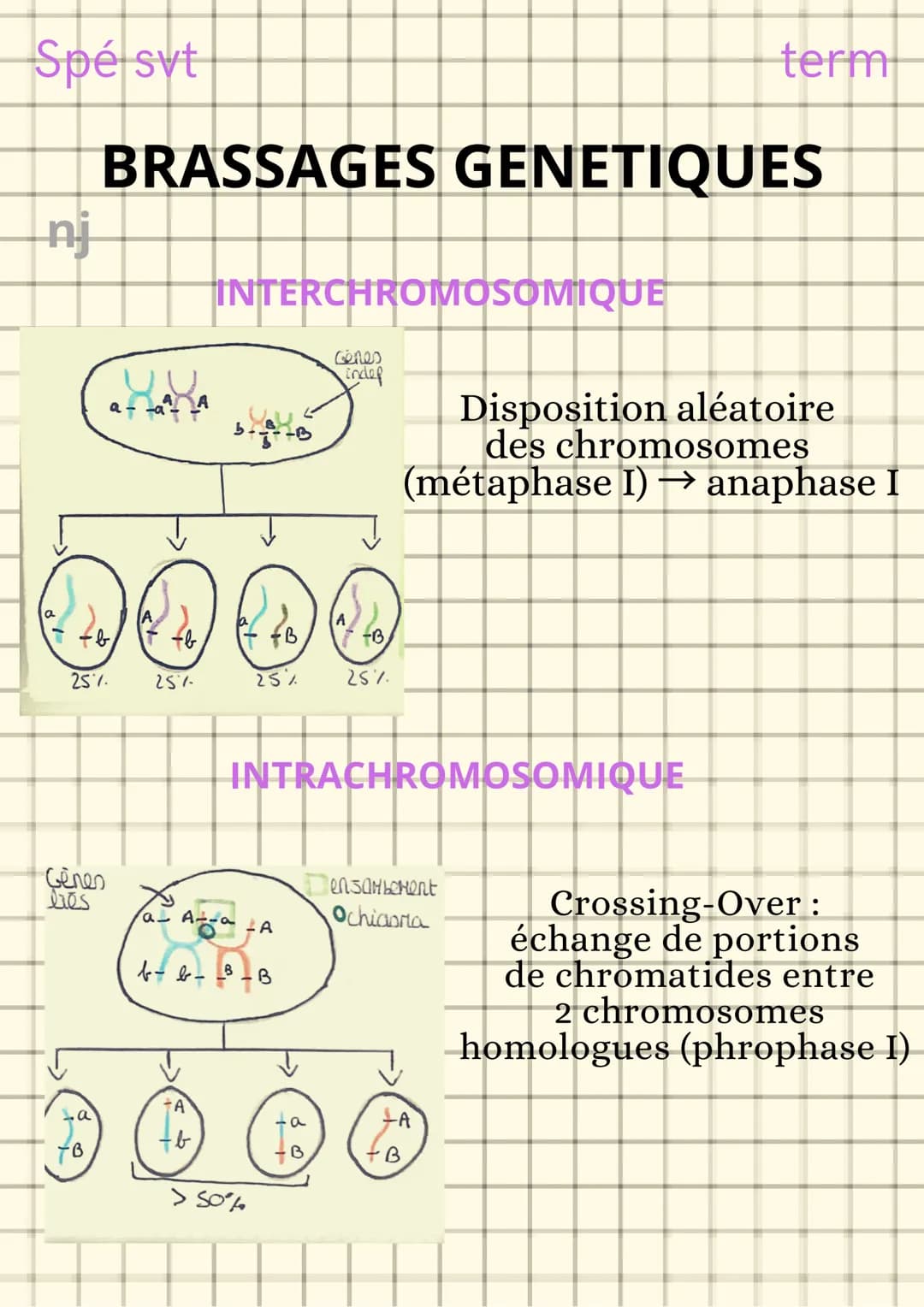 Spé svt
L'origine du génotype
des individus
nj
CONSERVATION DES GENOMES
Clone cellulaire : ensemble de cellules issues
de mitoses successive