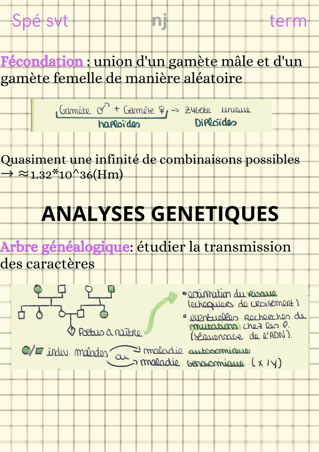 Spé svt
L'origine du génotype
des individus
nj
CONSERVATION DES GENOMES
Clone cellulaire : ensemble de cellules issues
de mitoses successive