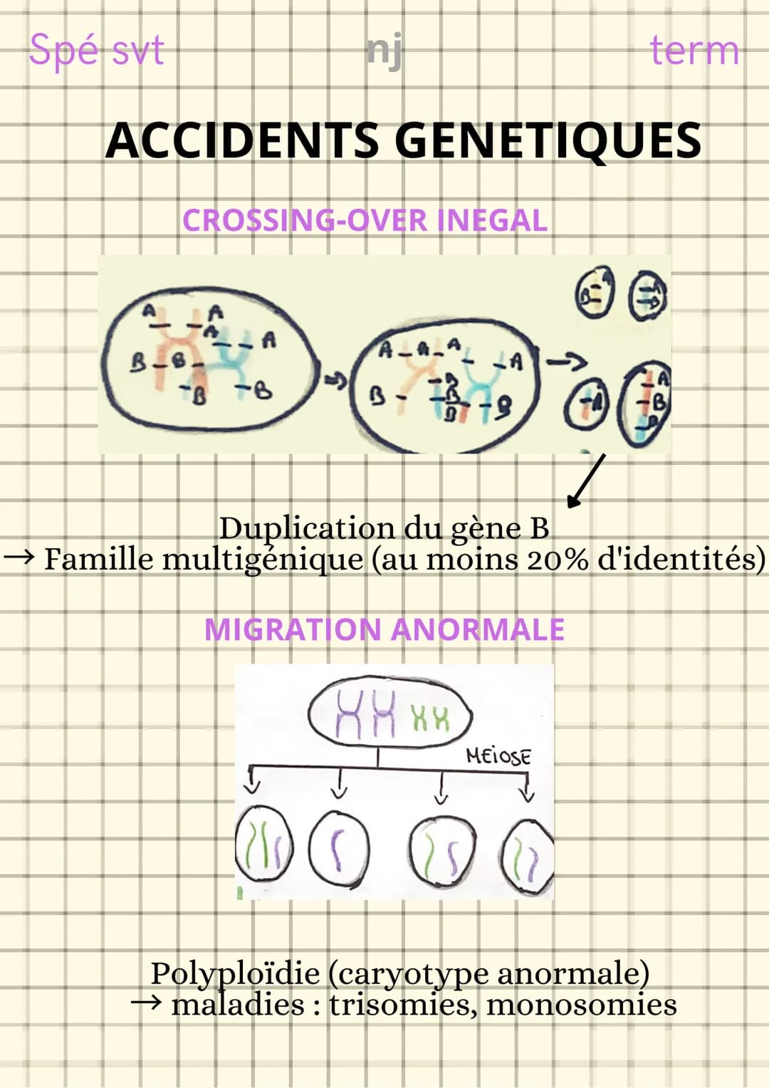 Spé svt
L'origine du génotype
des individus
nj
CONSERVATION DES GENOMES
Clone cellulaire : ensemble de cellules issues
de mitoses successive