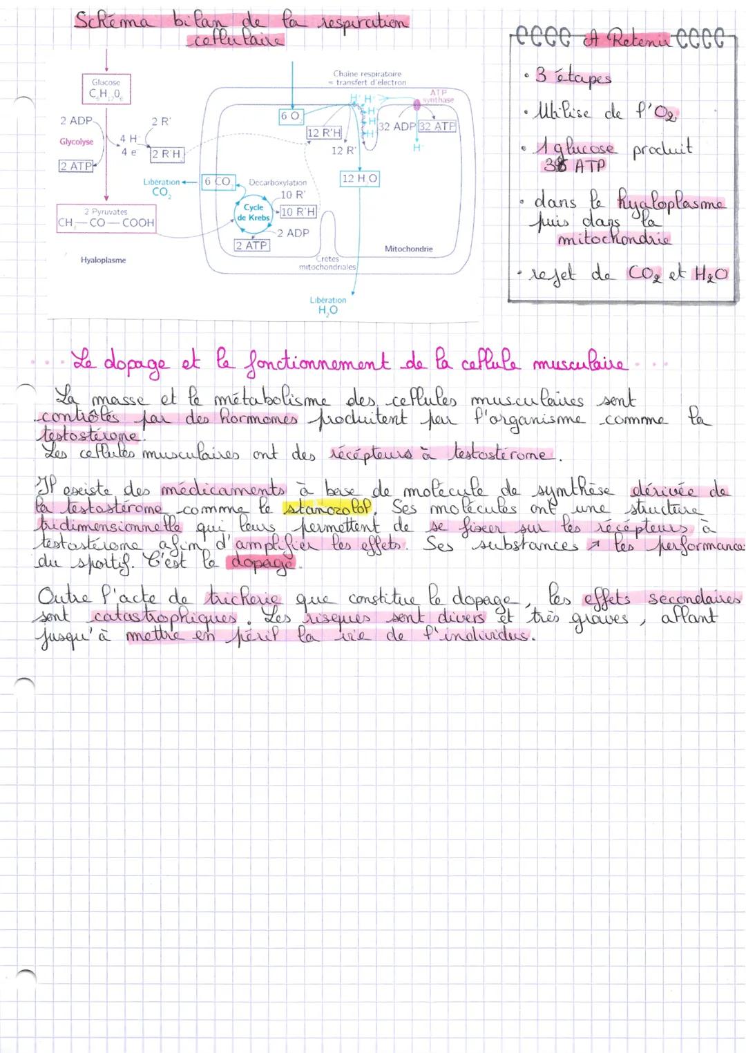 aft
L'origine de P'APT mécessaire à la contraction musculaire
Une cellule
besoin d'énergie pour réaliser ses activités.
Pour la contraction 