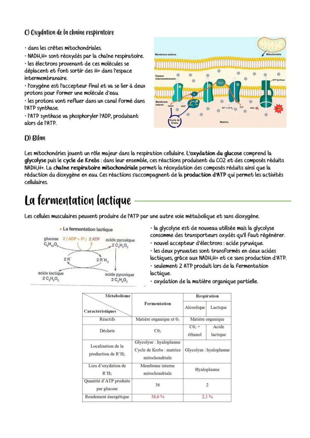 k'originede ATP
| L'énergie nécessaire à la contraction musculaire est apportée sous forme de molécules d'ATP.
• La production d'ATP dans le