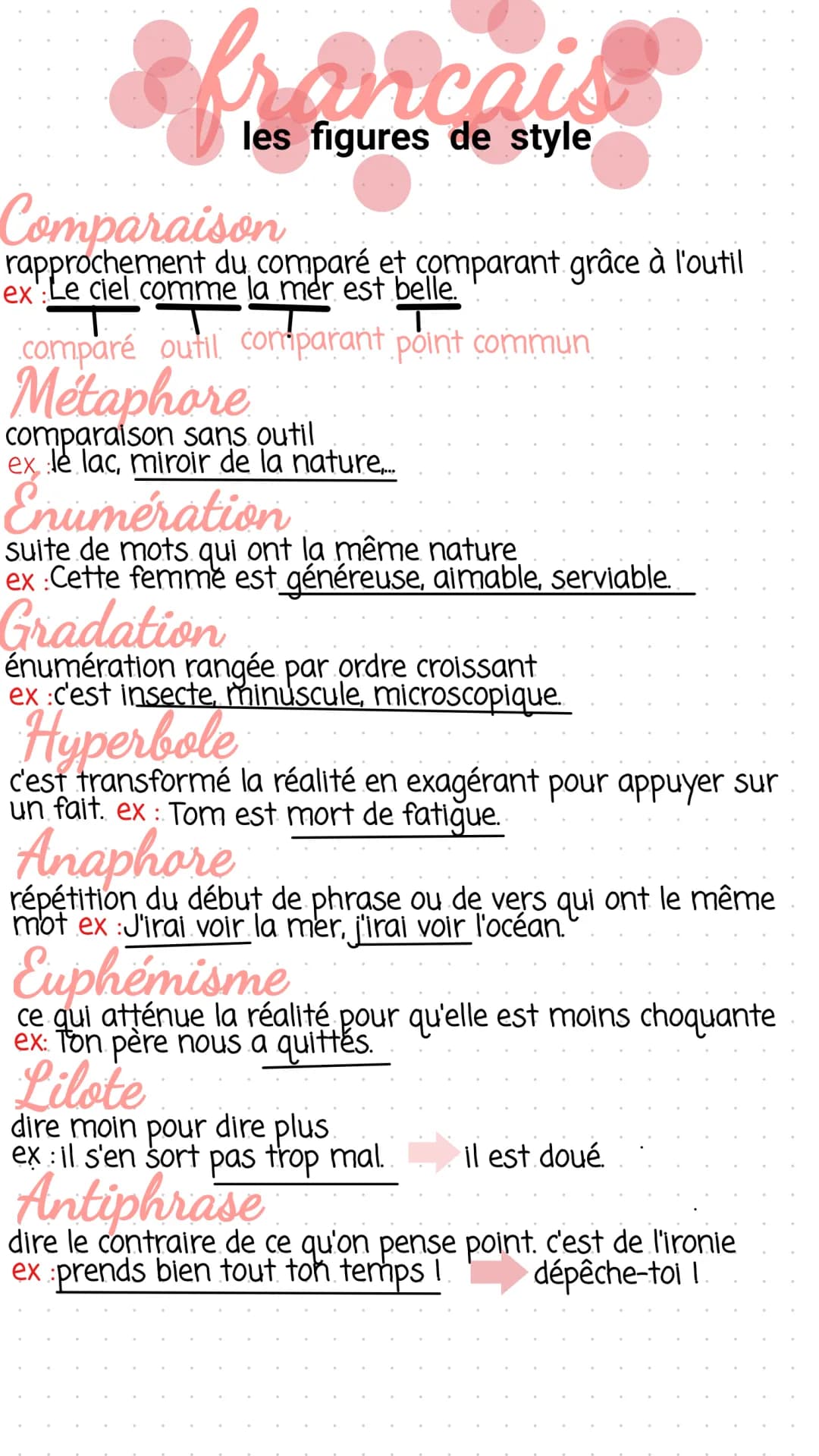 Français 📖 : les figures de style 