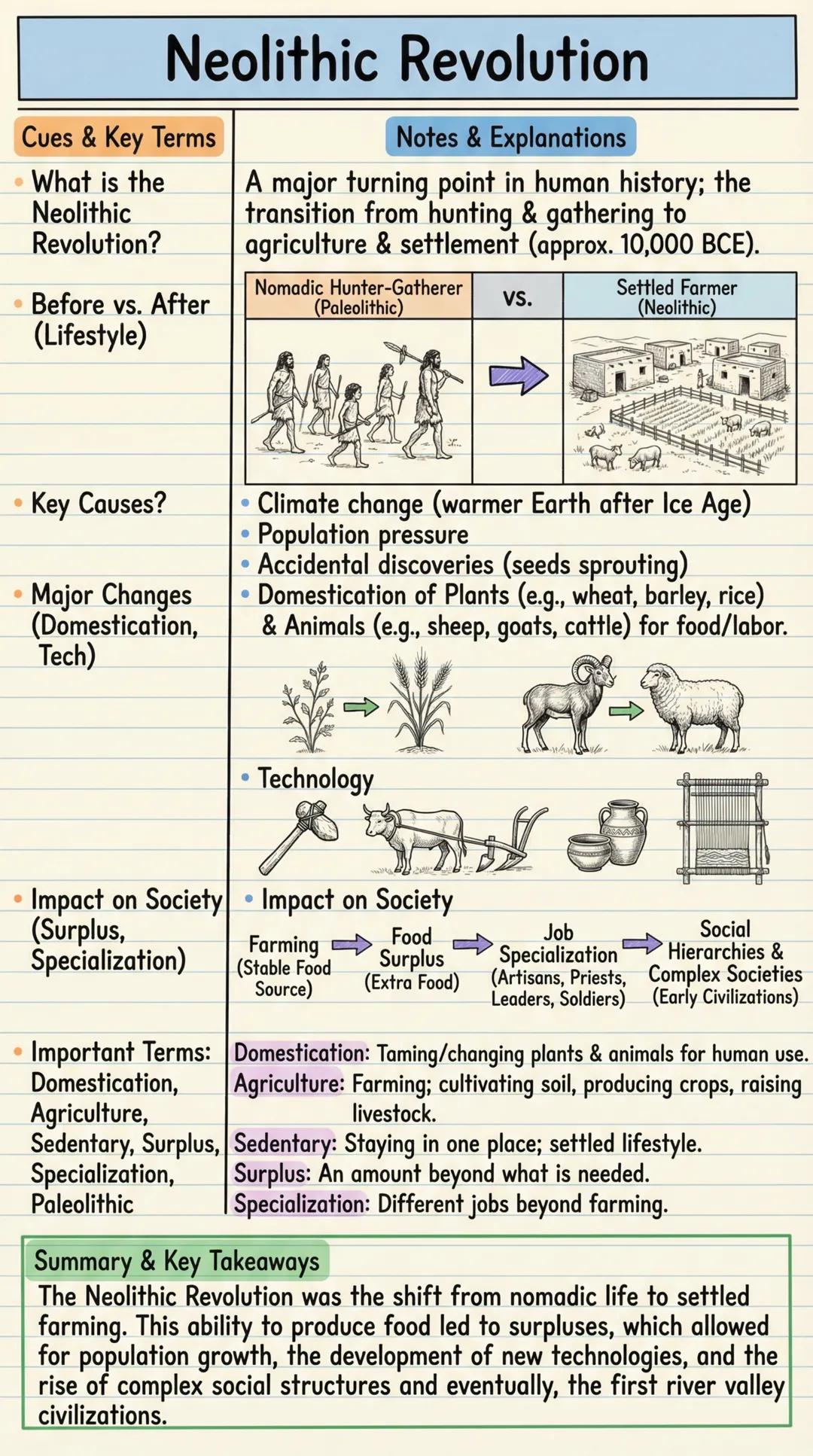 # Neolithic Revolution

Cues & Key Terms
*   What is the
    Neolithic
    Revolution?
*   Before vs. After
    (Lifestyle)

Notes & Explana
