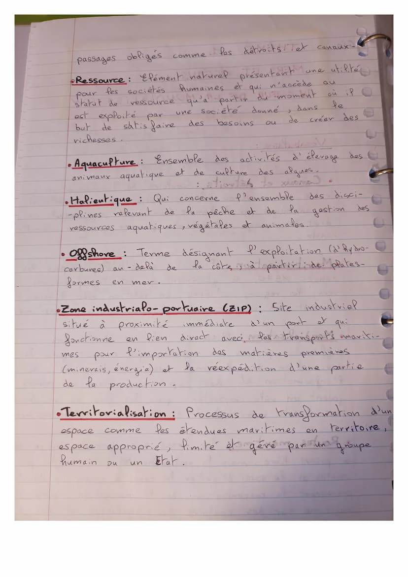 Géo
✔
THEME
●
●
MERS ET
a
Vocabulaire :
vers
-ssement
1
années
OCEANS
AU COEUR DE LA MONDIALISATION
Pes
:
Canaux et détroits: Couloirs de co