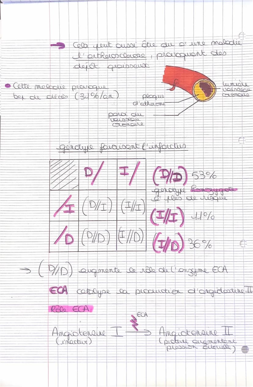 jhu
ساليسير الشتاليا
C
SANTÉ
ли
ettere arte
contruction des voisseur cronques qui
wriquent les colluces du myocarde ou
niveau dec coout
INFA