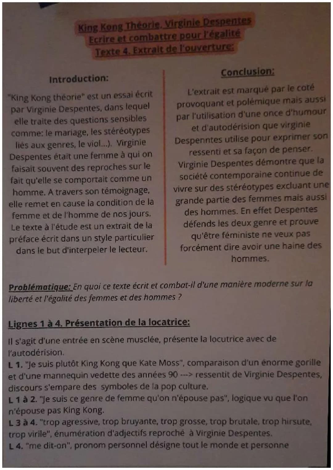 King Kong Théorie Virginie Despentes : Analyse linéaire, Résumé et Thèse