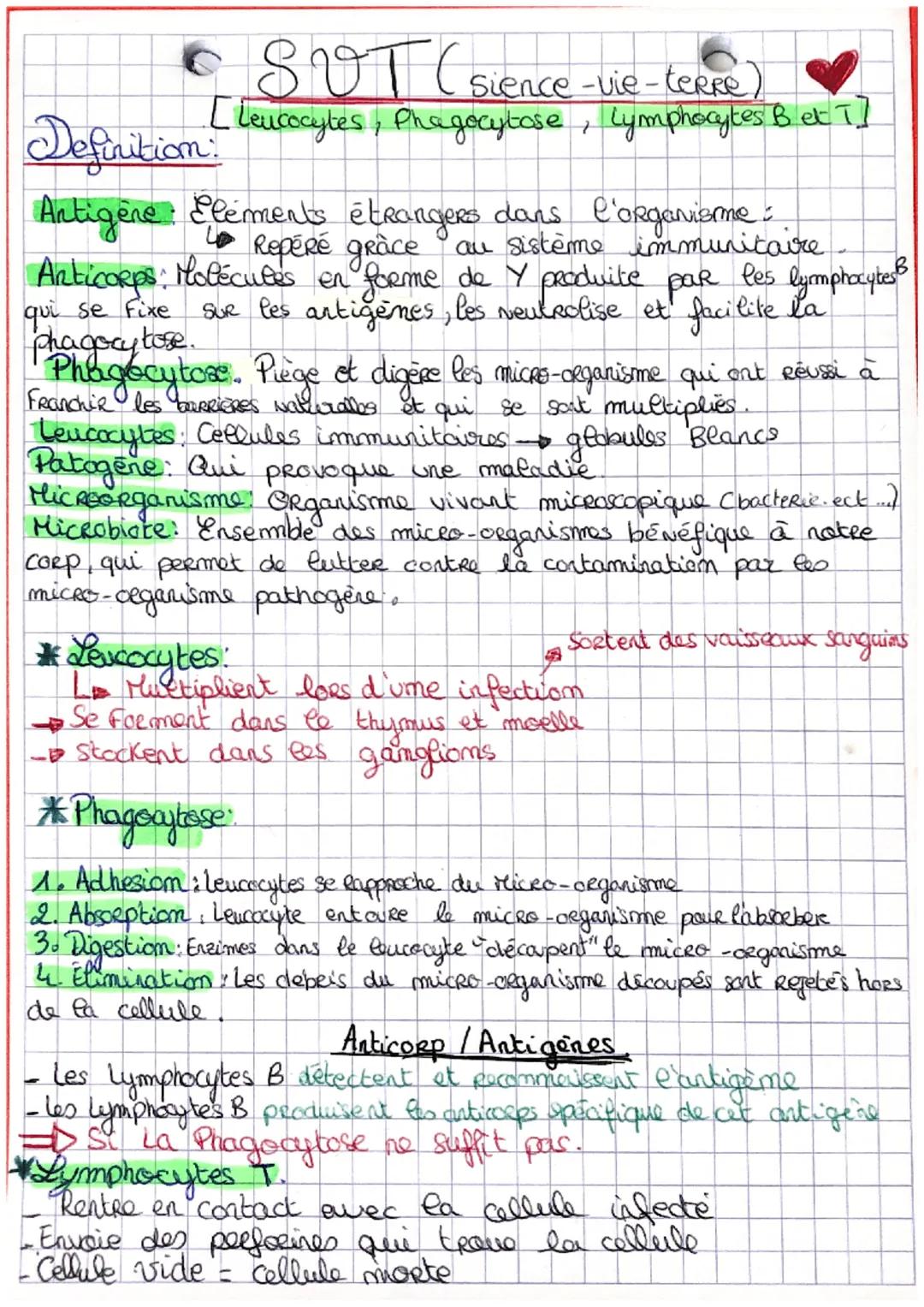 & SVT (sience-vie-terre
Definition:
[ Leucocytes, Phagocytose, Lymphocytes B et 1]
Antigene Elements étrangers dans l'organisme:
Repéré grâc