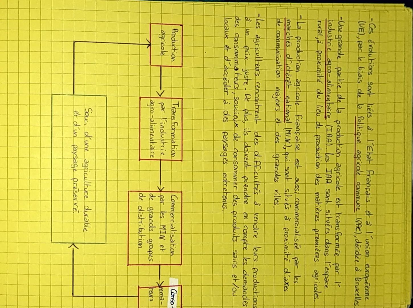Les espaces agricoles en France

-Il existe différents paysages d'espaces productifs: culture et
élevage intensif (batteries), polyculture e