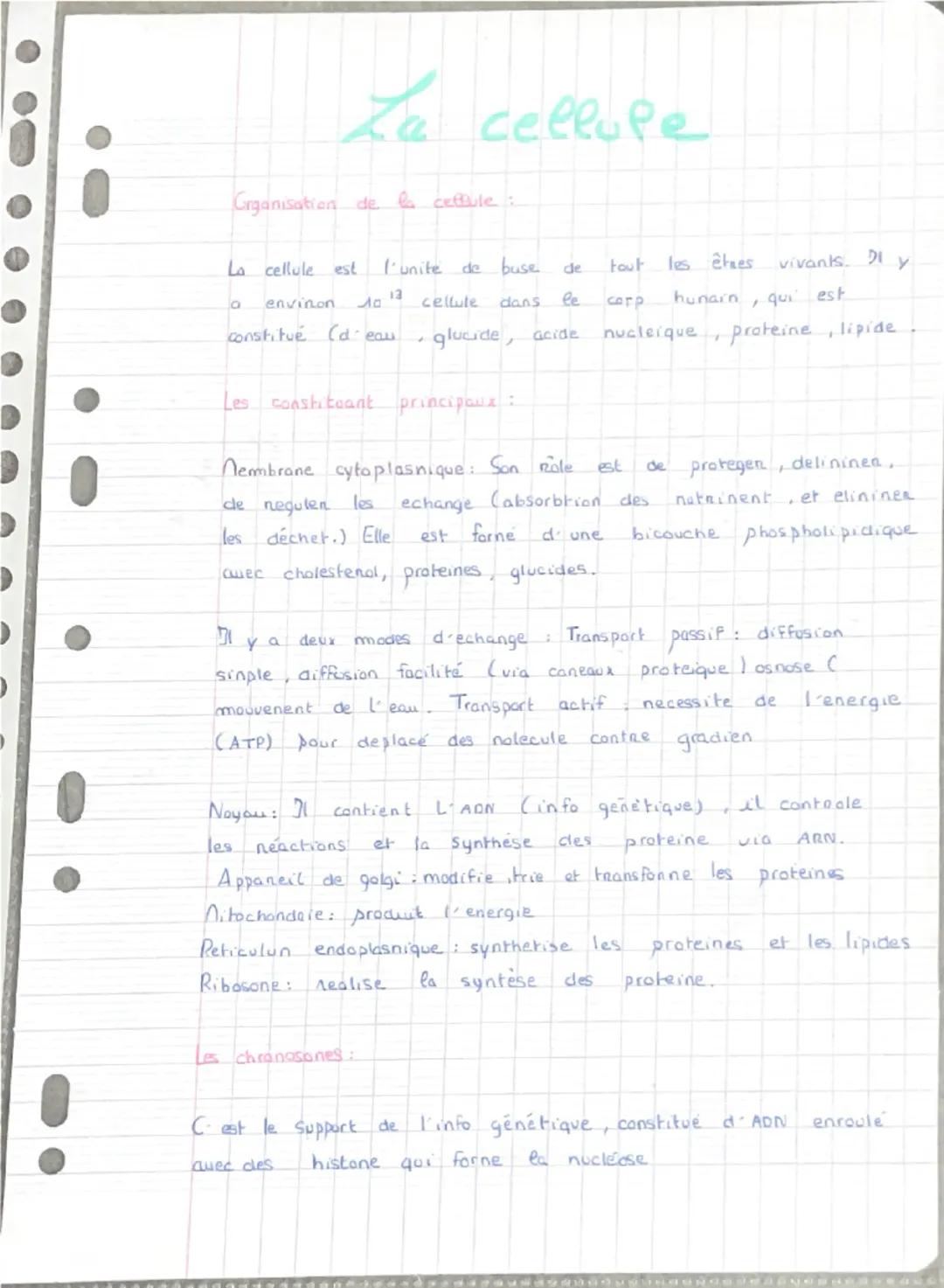 Fiche de révision Cellule 
