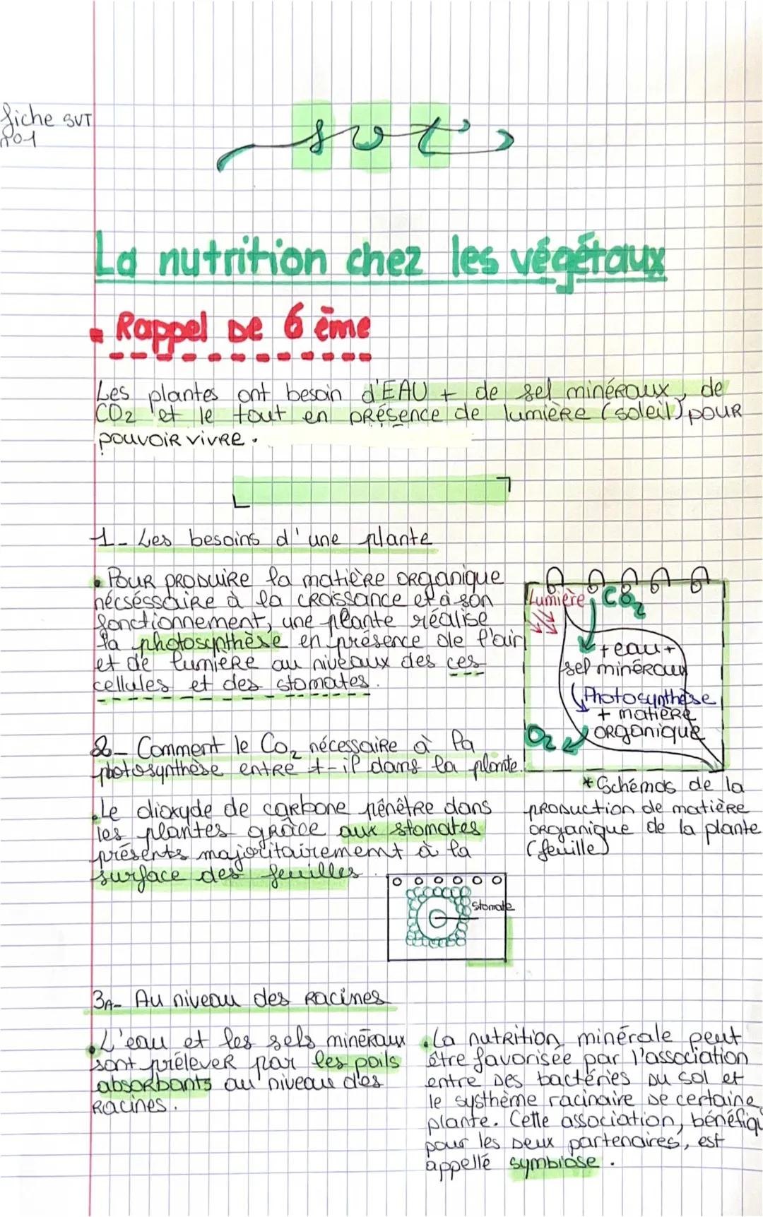 La Nutrition chez les Végétaux PDF - Tout sur la Photosynthèse et la Sève en SVT 5ème et 4ème