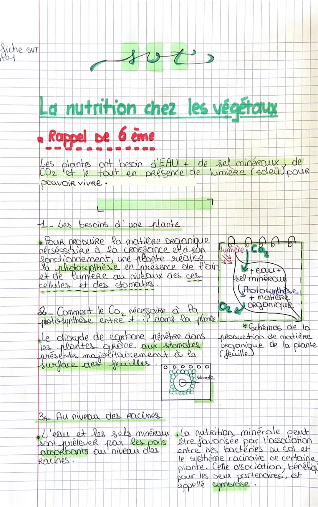 fiche SVT
sot
La nutrition chez les végétaux
• Rappel De 6 ème
Les plantes ont besoin d'EAU + de sel minéRoux, de
CD₂ et le tout en présence