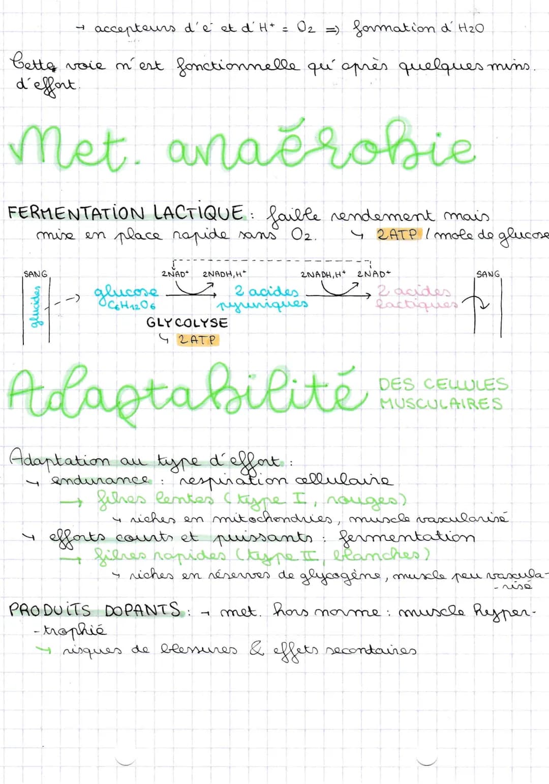 28101123
Met. aérobie
ATP.
CONTRACT MUSCULAIRE
SANG
0₂
RESPIRATION CELLULAIRE: C6H12O6 + 60₂ 600₂ + 6H₂O
Glucose
dans les mitochondries
molé
