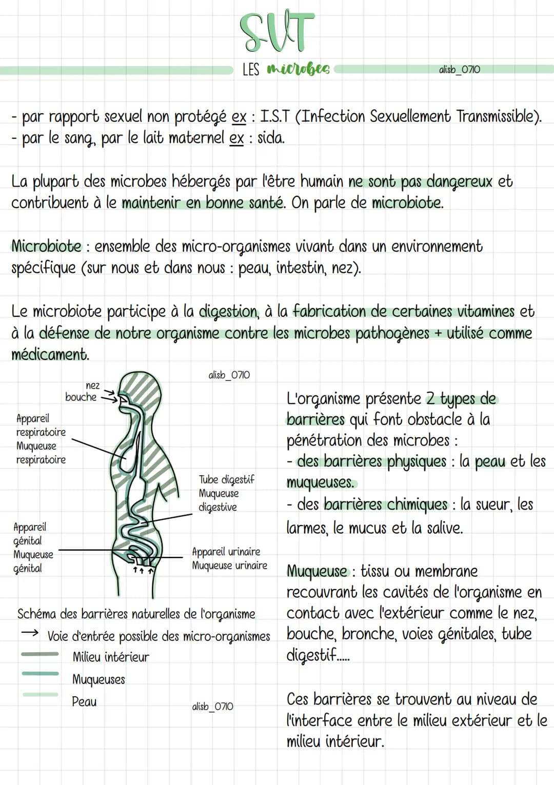 SUT
LES microbes
L'Homme évolue dans un milieu peuplé d'une multitude de micro-organismes (ou
microbes). Certains peuvent nous rendre malade