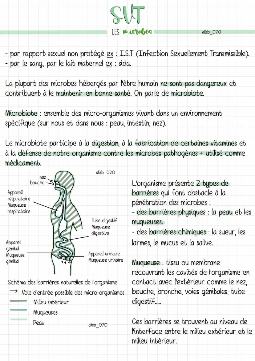 SUT
LES microbes
L'Homme évolue dans un milieu peuplé d'une multitude de micro-organismes (ou
microbes). Certains peuvent nous rendre malade