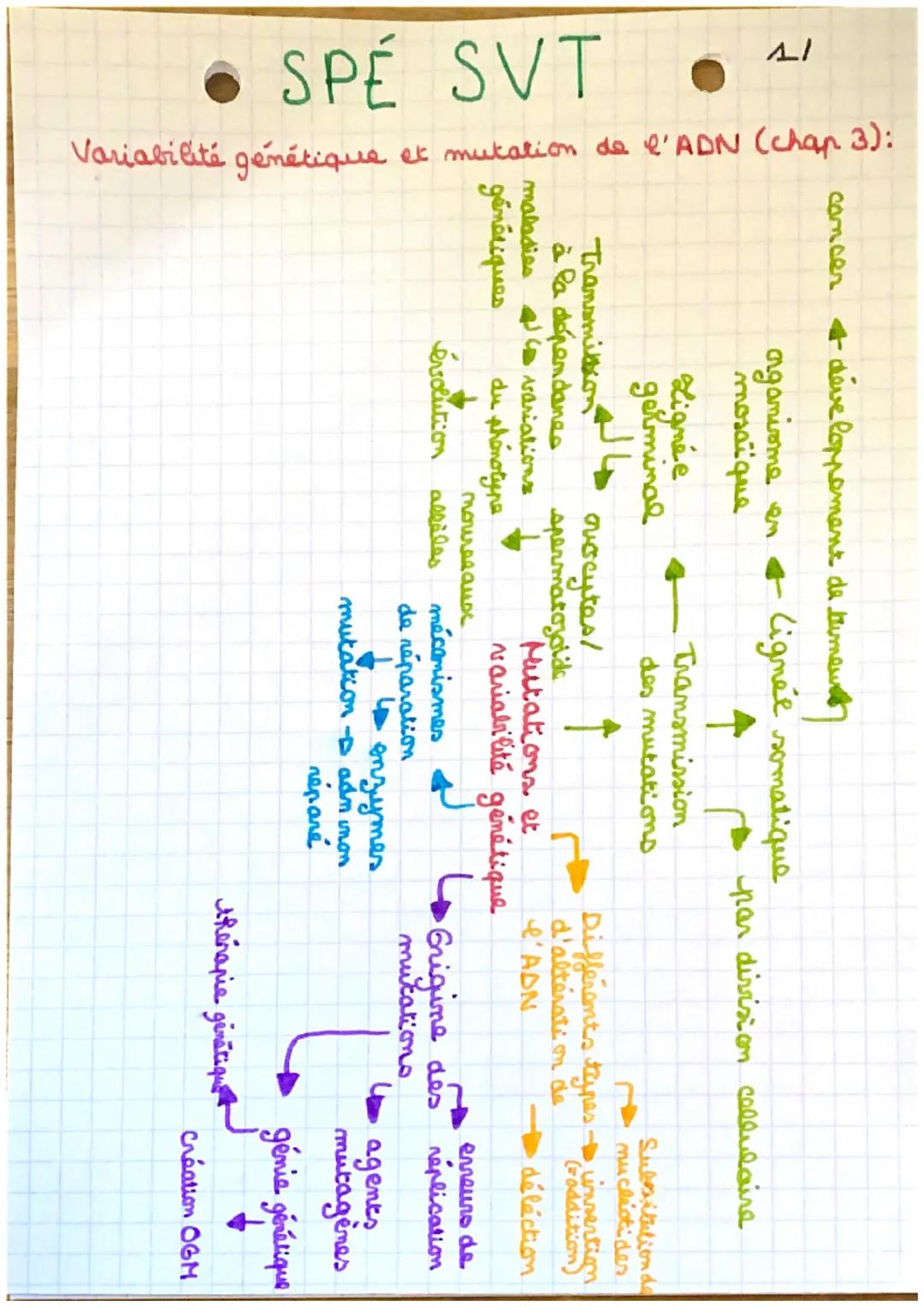 SPÉ SVT
Variabilité génétique
IV
et mutation de l'ADN (chap 3):
cancer développement de tumeunt
organisme en
mosaïque
Lignée
germinal
حاله
l