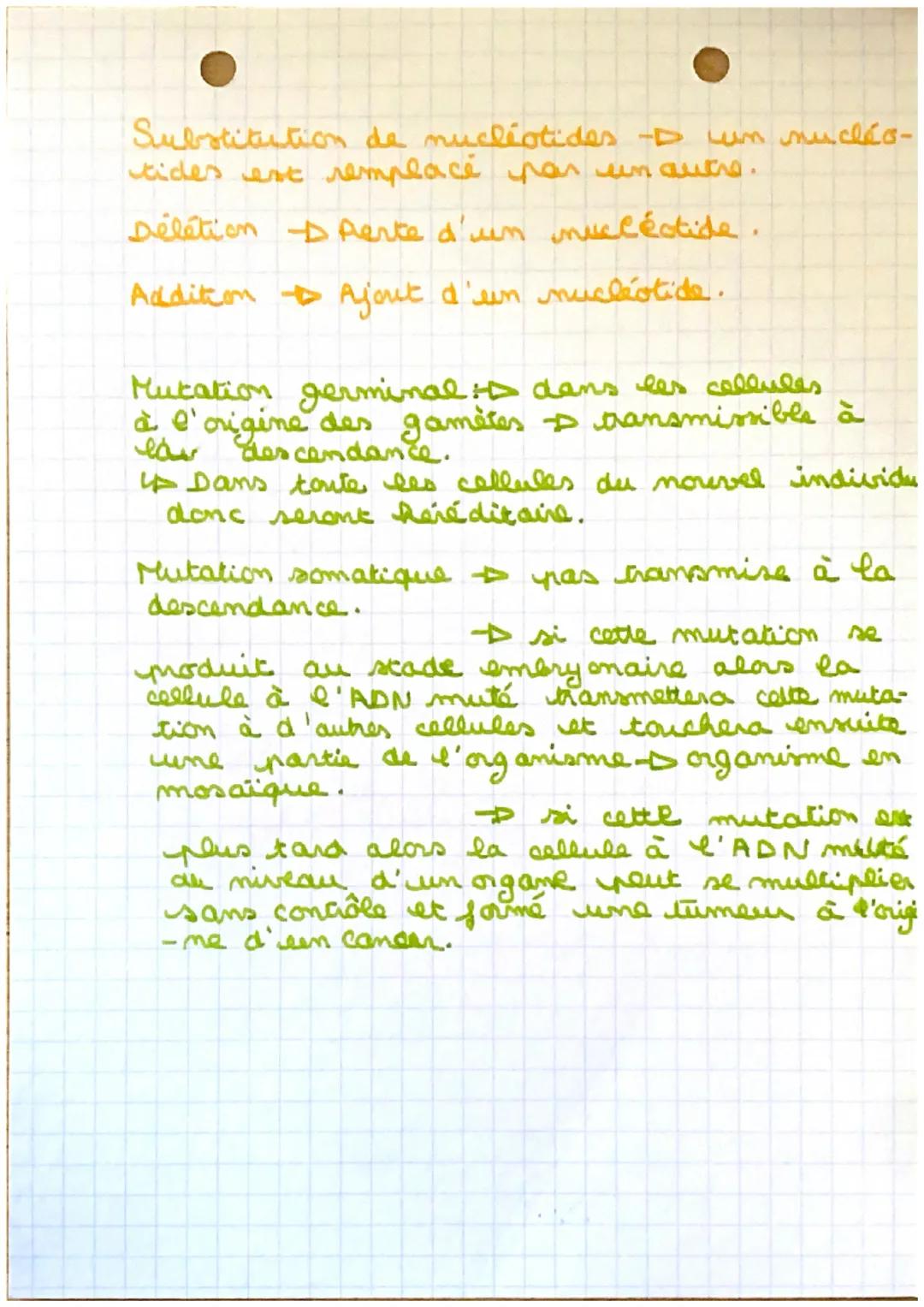 SPÉ SVT
Variabilité génétique
IV
et mutation de l'ADN (chap 3):
cancer développement de tumeunt
organisme en
mosaïque
Lignée
germinal
حاله
l