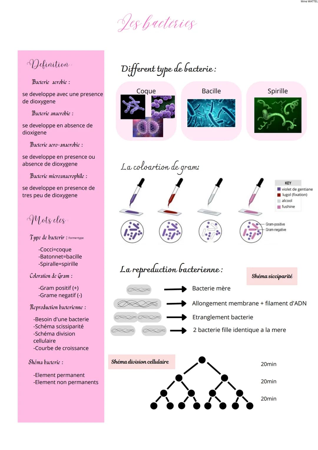 Definition
Bacterie aerobie :
se developpe avec une presence
de dioxygene
Bacterie anaerobie :
se developpe en absence de
dioxigene
Bacterie