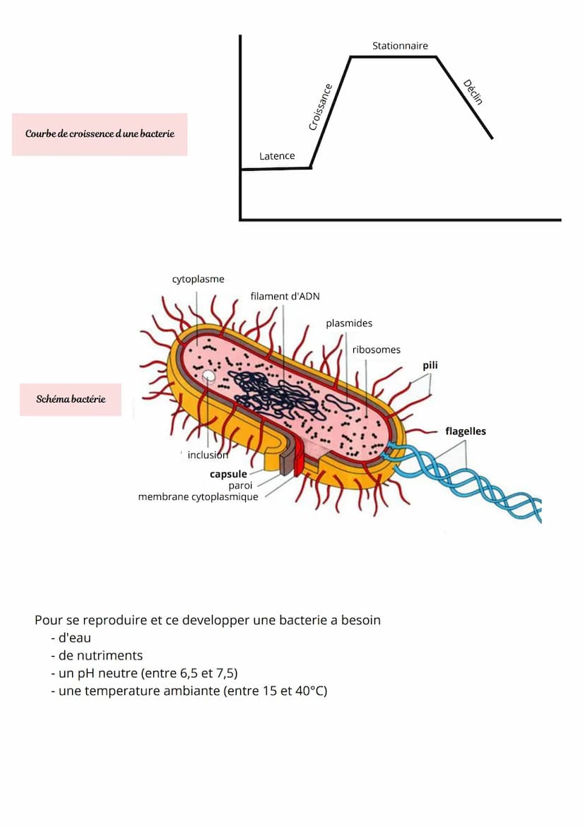 Definition
Bacterie aerobie :
se developpe avec une presence
de dioxygene
Bacterie anaerobie :
se developpe en absence de
dioxigene
Bacterie