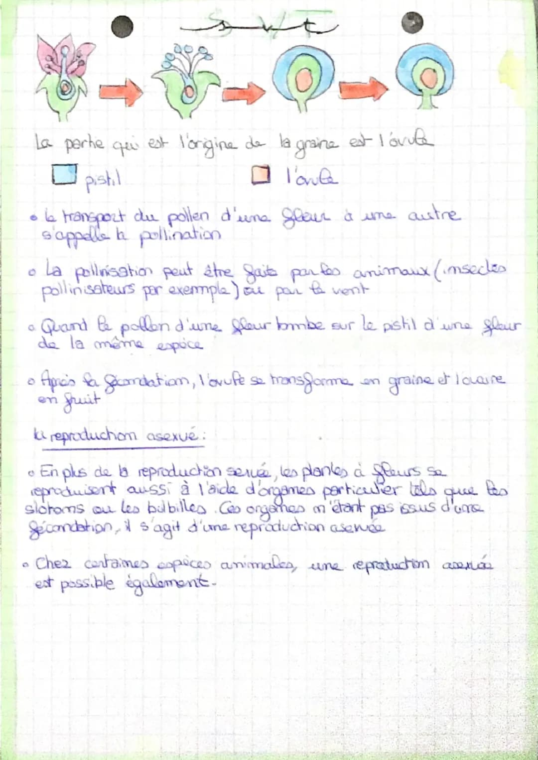 La reproduction sexvée et asexuee
la reproduction sexuée
ست
●
Chez les êtres vivants, la reproduction sexuée repose sur le mécanisme
de la f