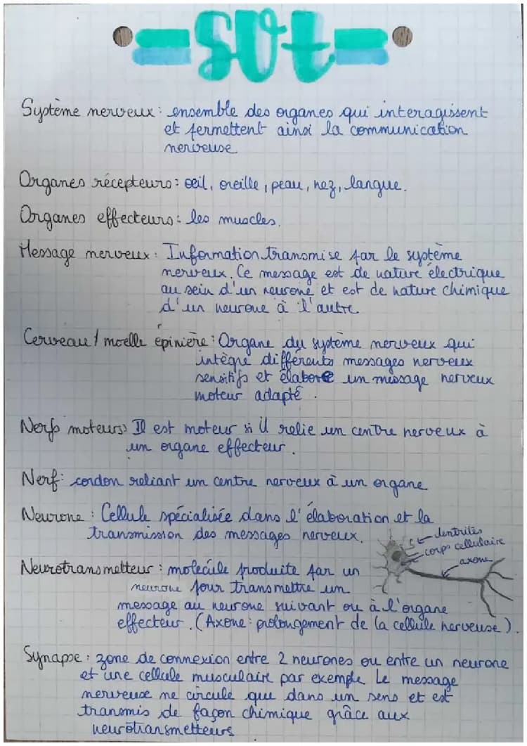 Know Système nerveux et comportement responsable thumbnail