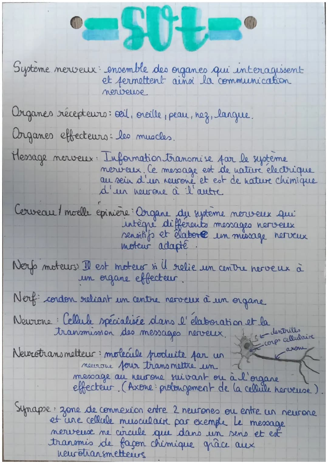 -SUt=
Système nerveux ensemble des organes qui interagissent
et fermettent ainsi la communication
nerveuse
Organes récepteurs: seil, oreille