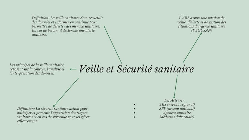 
<h2 id="les5composantesdusystmedesant">Les 5 composantes du système de santé</h2>
<p>Le système de santé désigne l'ensemble des organisatio