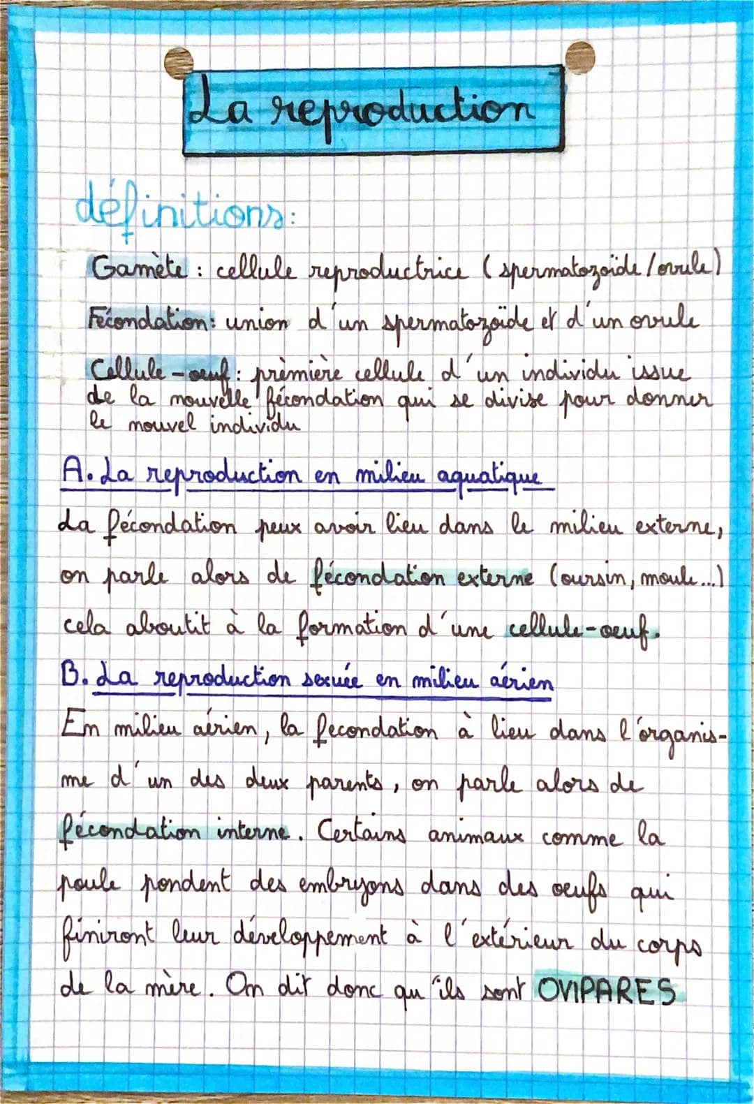 definitions:
Gamete: cellule reproductrice (spermatozoide /ovrule)
Fécondation: union d'un spermatozoide et d'un ovule
Cellule-sud: première