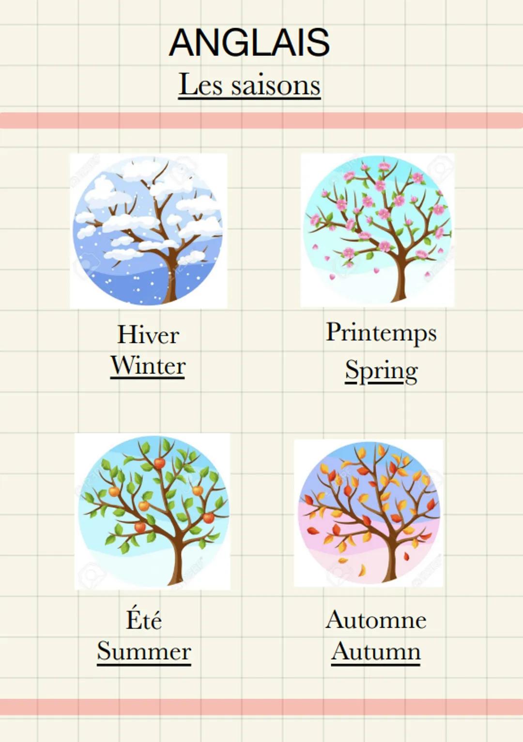 Anglais : Les saisons
